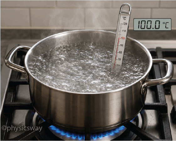 A thermometer in a beaker of boiling water, reading 100 degrees Celsius